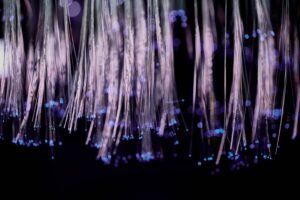 vertexpulse operational nexus identifiers listed